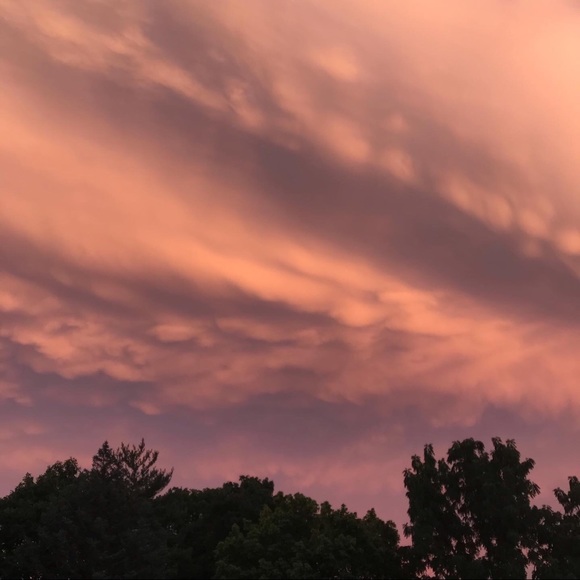 Meet your Posher, Ava - Picture 1 of 1